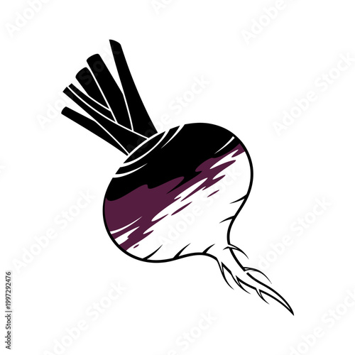 Artistic illustration of a vibrant purple and white turnip vegetable with green stems.