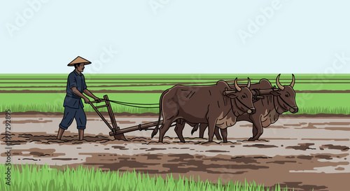 Asian farmer plowing muddy rice field with two cows, traditional agriculture, rural farming landscape, outdoor nature, cultivation, village life,
