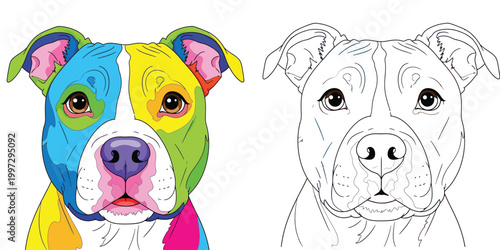 Colorful Pop Art Pit Bull Portrait and Line Art Version for Coloring Page, Vibrant American Staffordshire Terrier Dog Head Illustration, Creative Artistic Animal Vector Design
