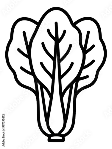 Vegetable Leaf Icon Line Drawing Simple Outline Glyph