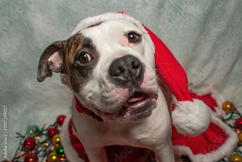 create minimalist cleaning plan for apartment that emphasizes kitchen organization