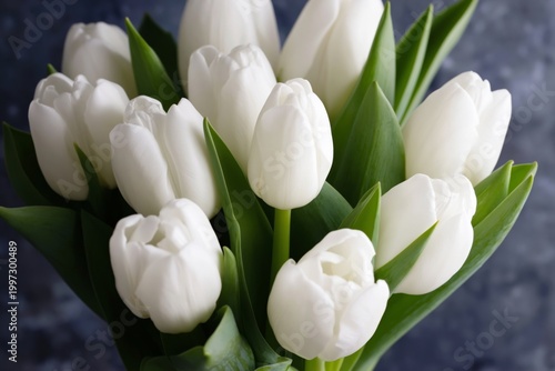 Fresh White Tulips in a Simple Arrangement on a Light Background for Decoration
