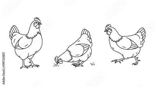 2D AutoCAD illustration of chickens pecking in a farm yard scene