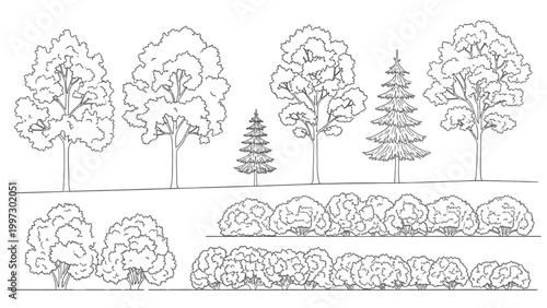 Various trees and foliage illustrated in 2D AutoCAD drawings for landscape design