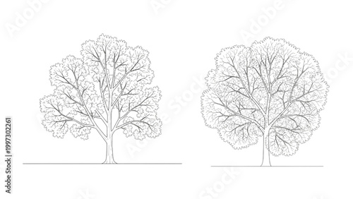 Detailed 2D AutoCAD drawings of two trees with foliage and branches