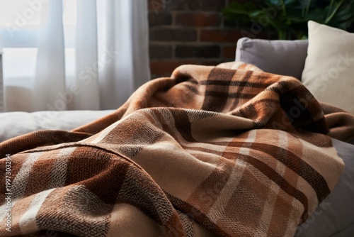 Cozy Blanket Draped Over a Couch in a Living Room With Natural Light