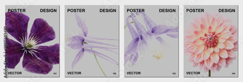 Fotografie Purple clematis flower halftone dots bloom petal floral spring nature garden vio