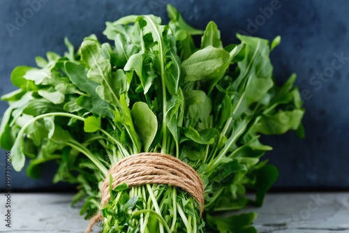 Fresh Bundle of Arugula Tied With Twine Placed on a Light Cloth Background in...