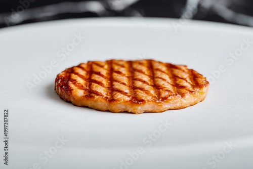 Grilled Patty Placed on a White Plate With a Smooth Surface in a Kitchen Setting