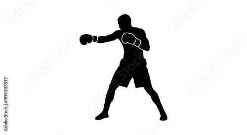 A dynamic boxer prepares to strike captured in striking silhouette
