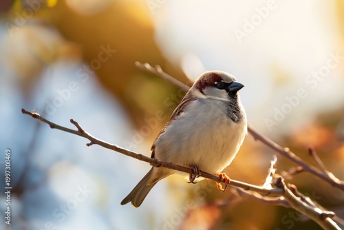 Bird Sits on a Branch During Early Morning in a Natural Setting With Soft Light