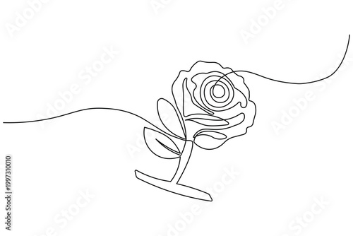 Rose flower one line drawing modern minimalist floral illustration isolated