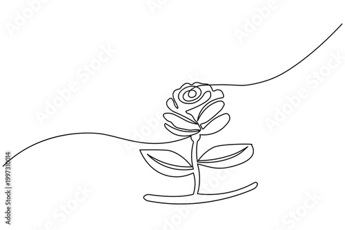 Rose flower one line drawing modern minimalist floral illustration isolated