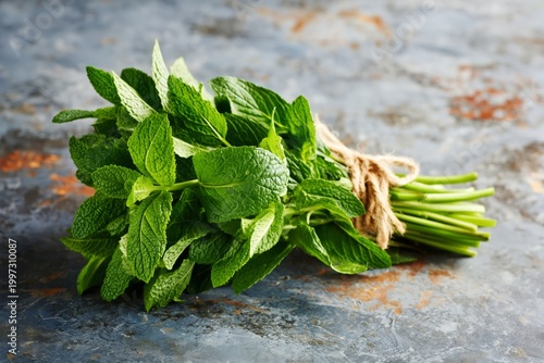 Fresh Mint Leaves Tied With String Placed on a Textured Gray Surface During D...