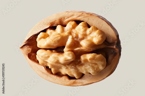 Nut in Shell With Walnuts Displayed on a Plain Background During Daylight Hours