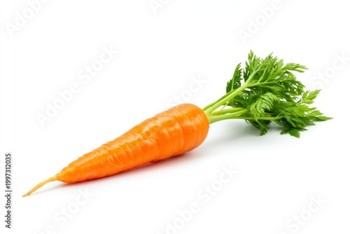 Fresh Carrot on White Background Ready for Cooking or Eating