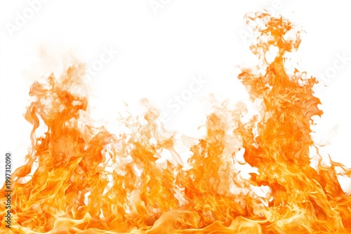 Bright Orange Flames Rise and Dance Against a Plain Background in a Vivid Dis...