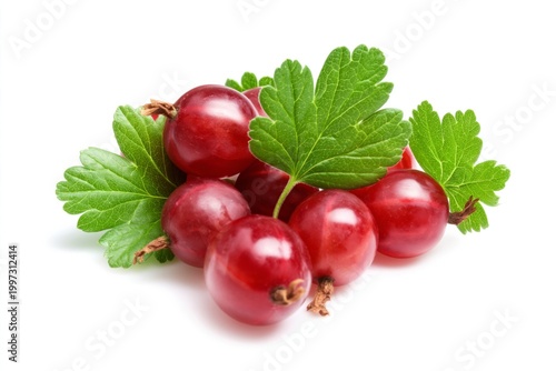 Fresh Red Currants With Green Leaves Displayed on a White Surface in Natural ...