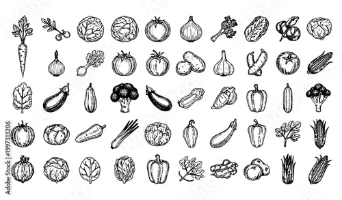 Vintage vegetable engraving set hand drawn black and white vector retro food illustration collection