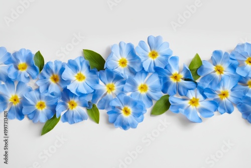 Bright Blue Flowers Grow in a Garden During Springtime in Full Bloom on Sunny...