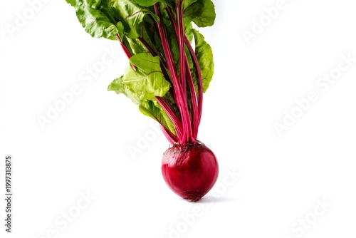 Fresh Red Radish With Green Leaves on White Background in a Kitchen Setting