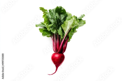 Fresh Red Radish With Green Leaves on White Background in a Kitchen Setting