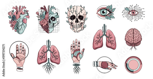 Anatomical illustrations of human organs and body parts against black background