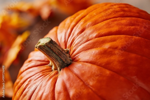 Pumpkin Sits on Ground Surrounded by Dry Leaves in Autumn Setting During Dayl...