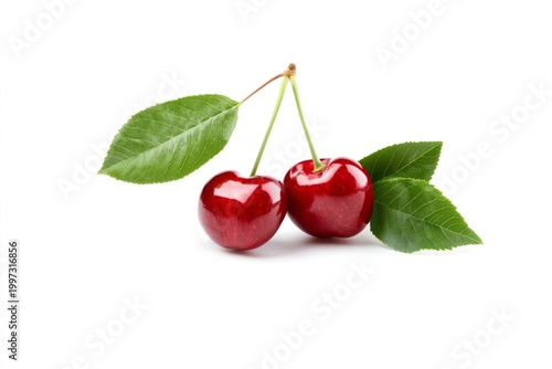 Fresh Red Cherries With Green Leaves on a Simple White Background