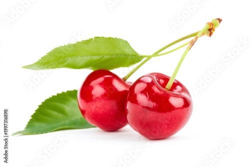 Fresh Cherries With Green Leaves on White Background in Natural Light