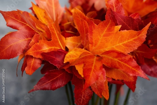 Bright Orange Leaves Arranged in a Vase on a Wooden Table in an Indoor Space ...
