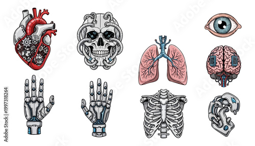 Human anatomy illustrations heart skull lungs eye brain hands ribs cyborg elements