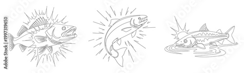 Continuous line drawing of walleye salmon and trout fish set isolated on white background for river fishing tour sporting adventure.