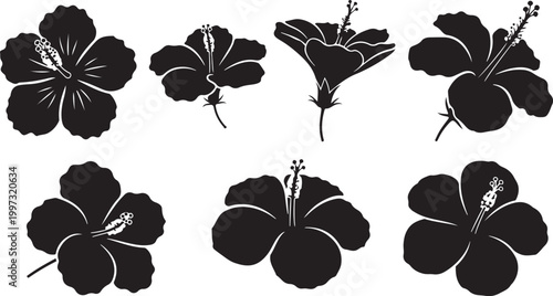 Black and white of maple leaves with stems isolated on white background leaf botanical