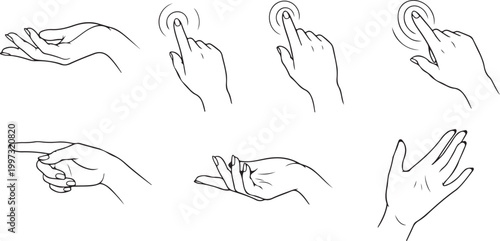 Black and white of various bird heads and beaks bird beaks beak shapes bird profiles