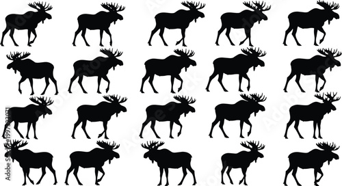 Black Moose Silhouette Vector Set with Various Walking Poses and Antler Positions Isolated on White Background for Wildlife Nature Design.