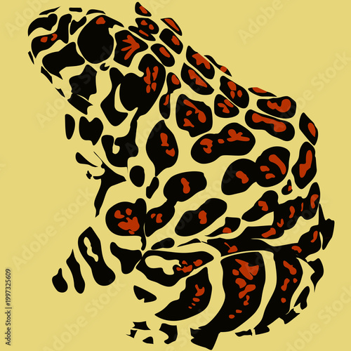 a black and red poisonous forest frog with a white background.reptile animal beautiful skin texture on yellow background