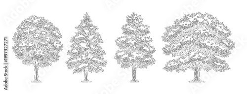 Four different tree shapes in a row