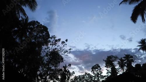 A twilight sky with scattered clouds above silhouetted trees.