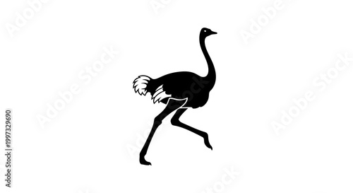 Ostrich Silhouette Running Isolated on White Background