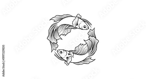 Two Koi Fish Circle Yin Yang Symbol Black and White Sketch