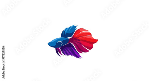 Vibrant Betta Fish Illustration - Siamese Fighting Fish with Flowing Fins on White Background