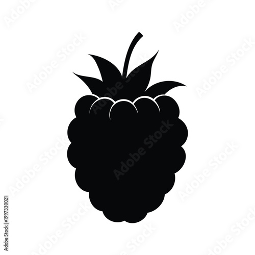 Black and white blackberry seed cluster silhouette vector illustration design, blackberry seed silhouette vector illustration