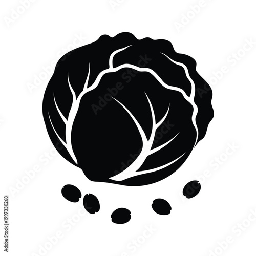 Minimalist cabbage silhouette with seeds vector illustration in flat design style, cabbage seeds silhouette vector illustration
