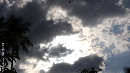 Sunlight breaks through dark storm clouds over a silhouette of trees.