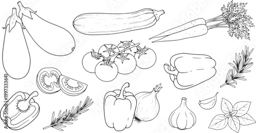 Hand-Drawn Sketch Collection of Fresh Organic Vegetables and Herbs for Healthy Cooking and Kitchen Design Elements