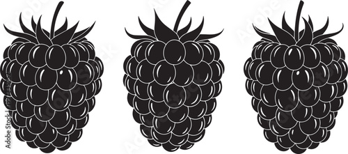 Elegant black and white vector icons of three distinct raspberries, capturing their unique texture and form, suitable for various design and health-focused concepts
