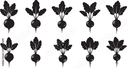 Collection of stylized black silhouette beetroot illustrations, featuring fresh root vegetables with leaves, perfect for farming, gardening, and healthy food concepts