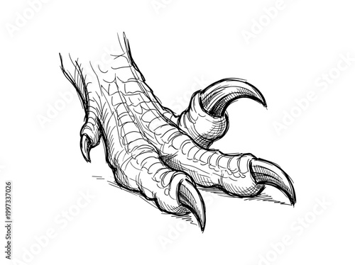 Dinosaur ink pen sketch: minimalist hand-drawn line art illustration on white background