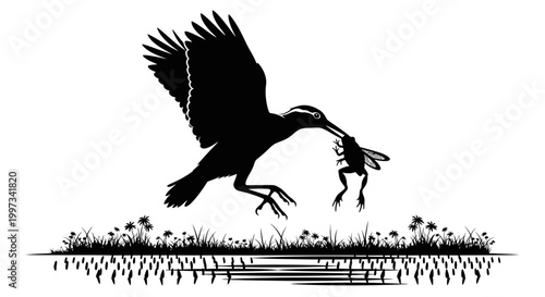 Silhouette of bird catching fish.